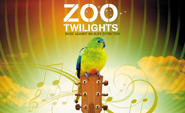 twilights-2012-13-v1-web620